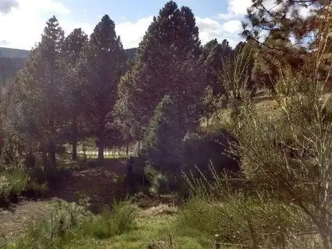 Terreno en Venta en San Martin De Los Andes, USD 55.000