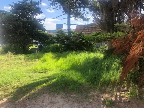 PASEO 124 Y  PASEO 123 BIS