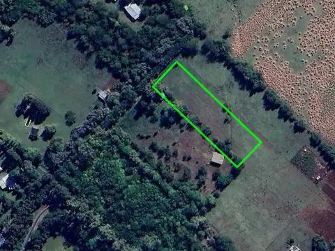 Julio Verne y Segundo Sombra