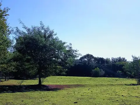 Terreno en Venta 40  mts Frente