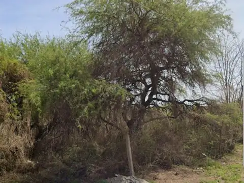 Terreno en Venta de 500,0 m2