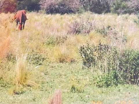 Hermoso campo en Villa Cura Brochero