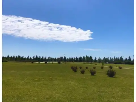 Terreno en Venta 40  mts Frente