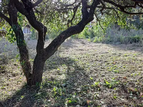 Terreno en Venta de 300,0 m2