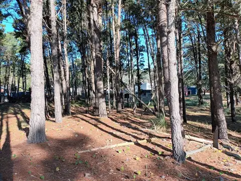 Terreno en Venta de 1000,0 m2