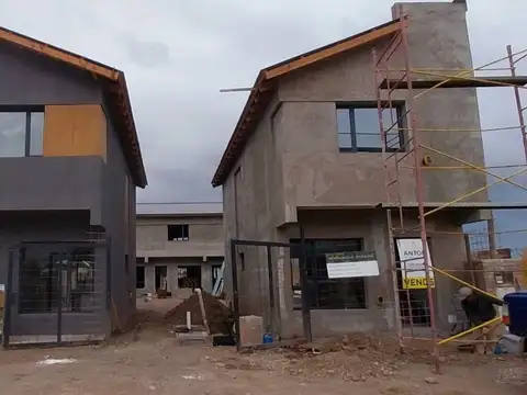 Norberto Amaturi 500