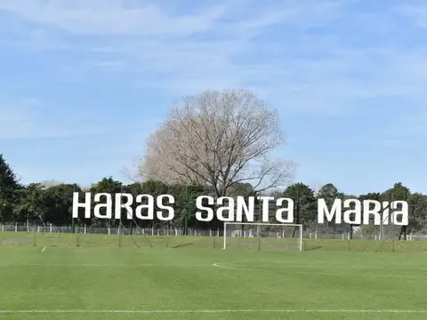 Haras de Santa María
