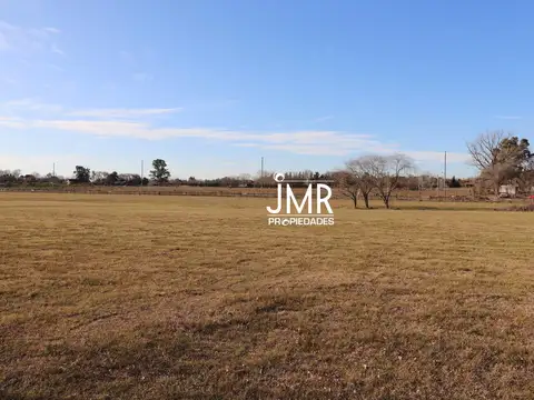 Beethoven Manzanares