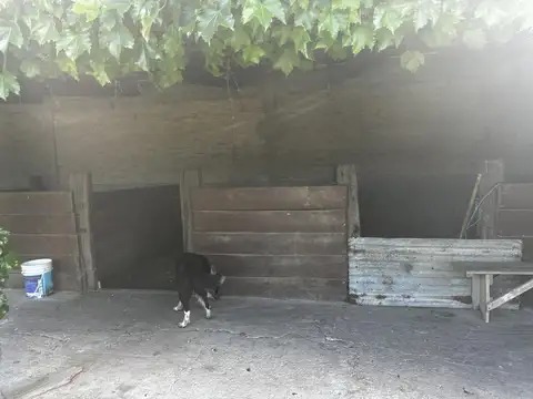 Campo en Ruta 8 km 81,5