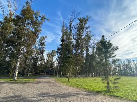 Campo Timbo - Oliveros