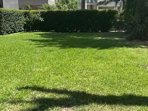 Terreno en Venta en Centro, USD 270.000