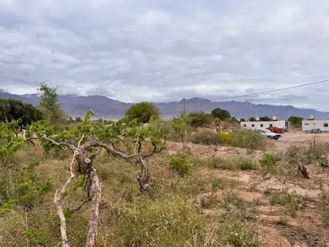 Terreno en Venta en Fiambala, USD 101.650