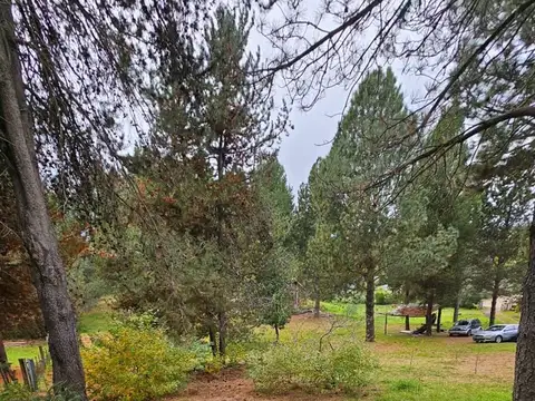 Terreno Lote  en Venta en Ruca Hué, San Martin de los Andes, Patagonia