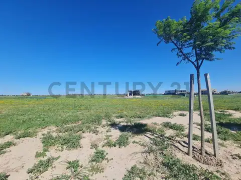 Terreno en Venta de 938,27 m2