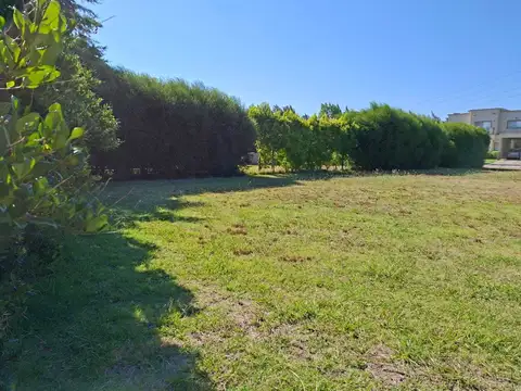 San Francisco - Villanueva 100