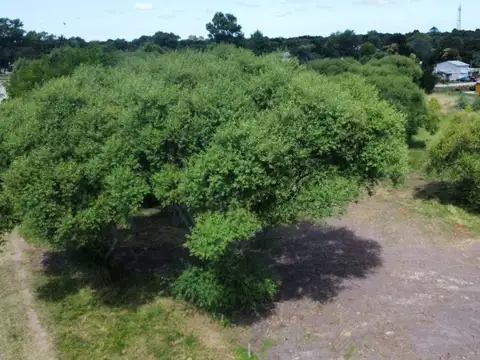 Terreno en Venta en General Juan Madariaga, USD 45.000