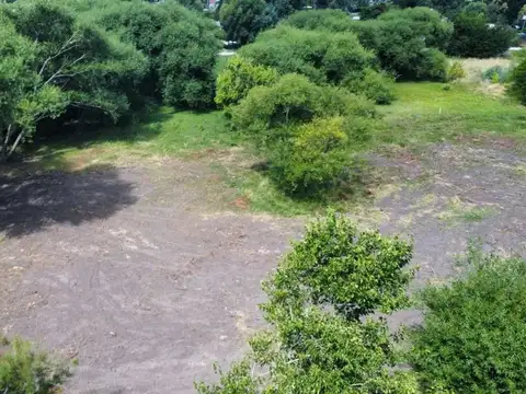 India y Malvinas 100