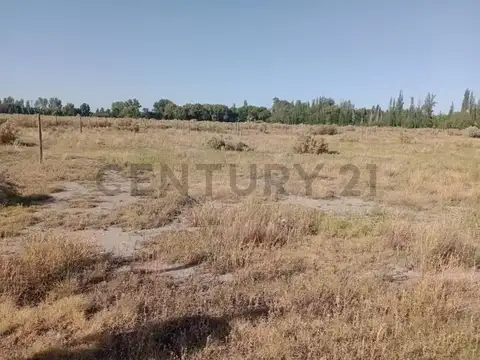 Venta de Lote en San Rafael