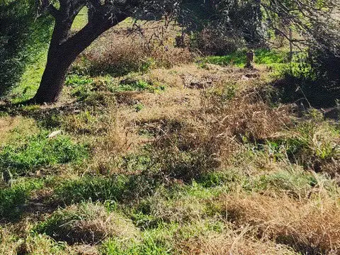 Terreno en Venta 12  mts Frente