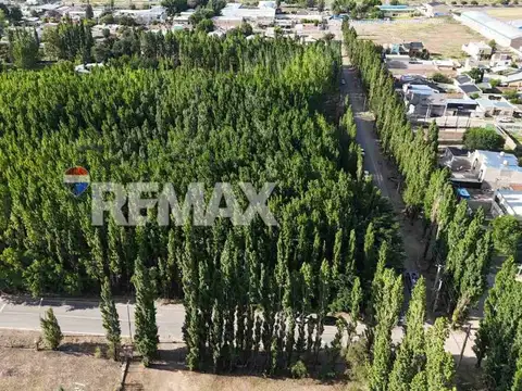 Leopoldo Lugones esquina Velez Sarfield.