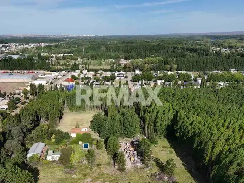 VENTA HECTAREA DE 11.328m2 EN PLOTTIER NEUQUÉN