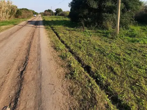 RENE FAVALORO al 300