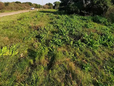 Terreno en Venta 12  mts Fondo