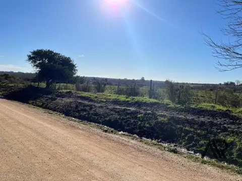 Campo 16 Hectareas En Canelones Entre Ruta 101 Y 102
