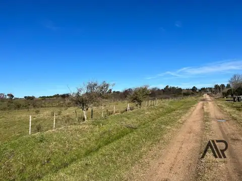camino al paso hondo 100