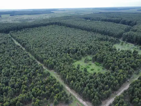 Campo en Venta de 289  ha