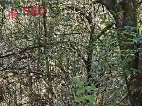 Terreno en Venta de 557,0 m2