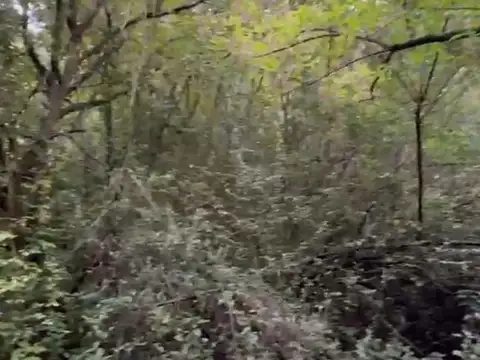 Terreno en Venta en Rio Ceballos, $ 5.000.000