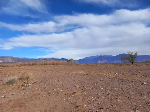 Ruta Nacional 149, km 12, San Alberto, Uspallata, Mendoza 100