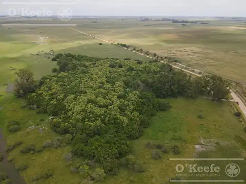 240 has en Chascomús - Ideal para disfrute personal y Rentabilidad Productiva