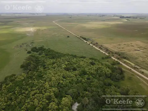 240 has en Chascomús - Ideal para disfrute personal y Rentabilidad Productiva