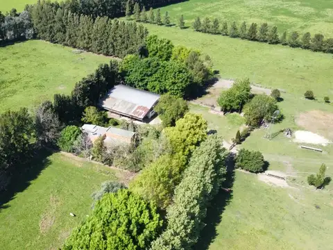 Acceso Plomer Y Ruta 6