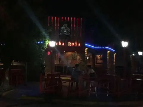 Mtro. Ángel D'elia 100