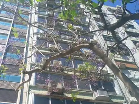 Carlos Pellegrini al 1000