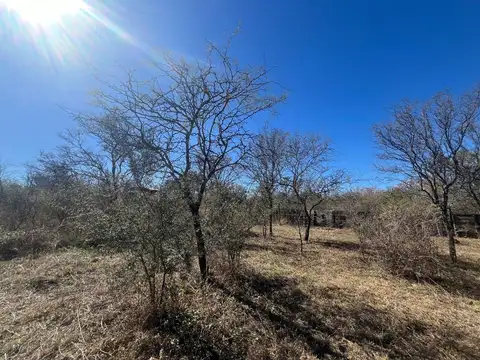 LOTE CON ARBOLES NATIVOS EN VILLA RIO ANISACATE