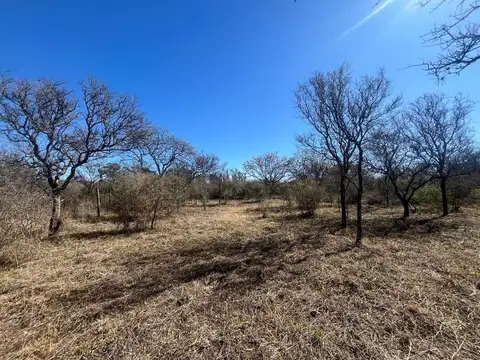 LOTE CON ARBOLES NATIVOS EN VILLA RIO ANISACATE