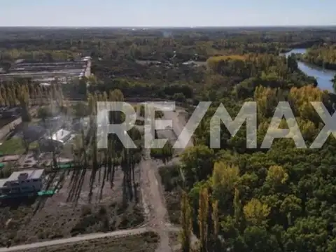 Acceso Nueva España 100