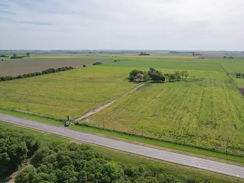 Campo de 25 hectáreas sobre ruta en 4 esquinas.