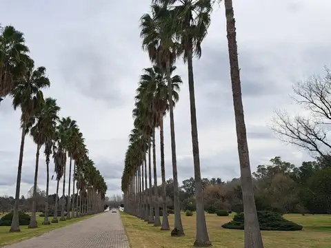 Terreno en Venta 2  mts Fondo