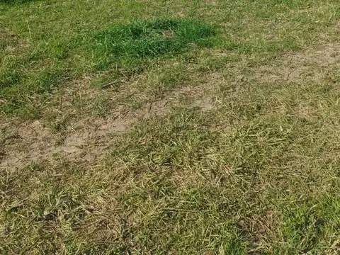 Terreno en Venta 45  mts Fondo