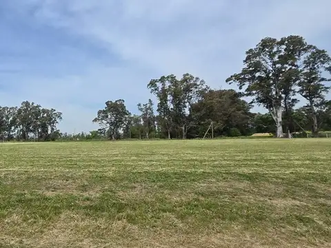 Terreno en Venta de 4300,0 m2