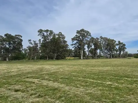 OPORTUNIDAD VENTA LOTE VILLA MARIA 4300 METROS