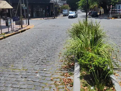 Brandsen 1119 Cochera 15