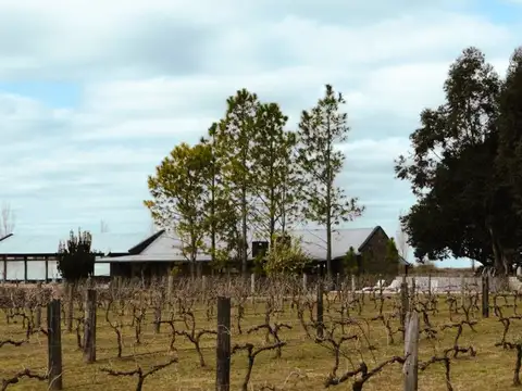 Casa Alma: complejo premium con viñedos, Victoria