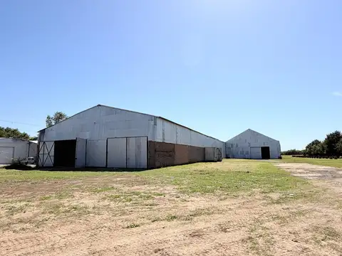 Galpon en Alquiler 25  mts Frente