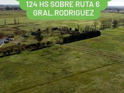 VENTA Fracción SOBRE AU 06 Y RP 24 GRAL RODRIGUEZ